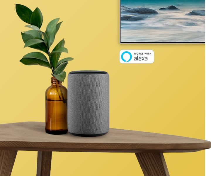 co-feature-works-wth-amazon-alexa-221501051_$FB_TY.jpg?v=637358843802170000