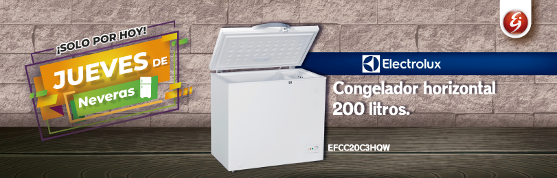 www electrojaponesa com